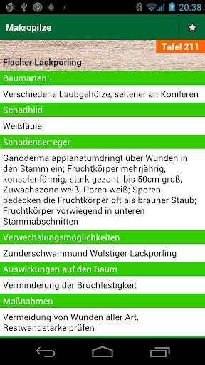Schadensbeschreibung