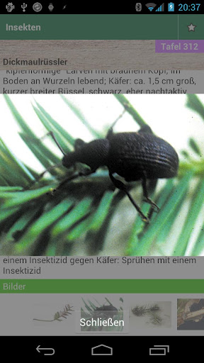 Bildvergr&ouml;&szlig;erung