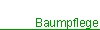 Baumpflege