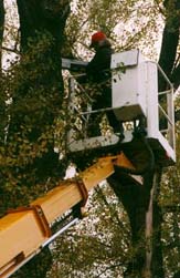 F&auml;uleuntersuchungen mit Hebeb&uuml;hne