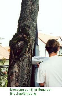 Fäulemessung